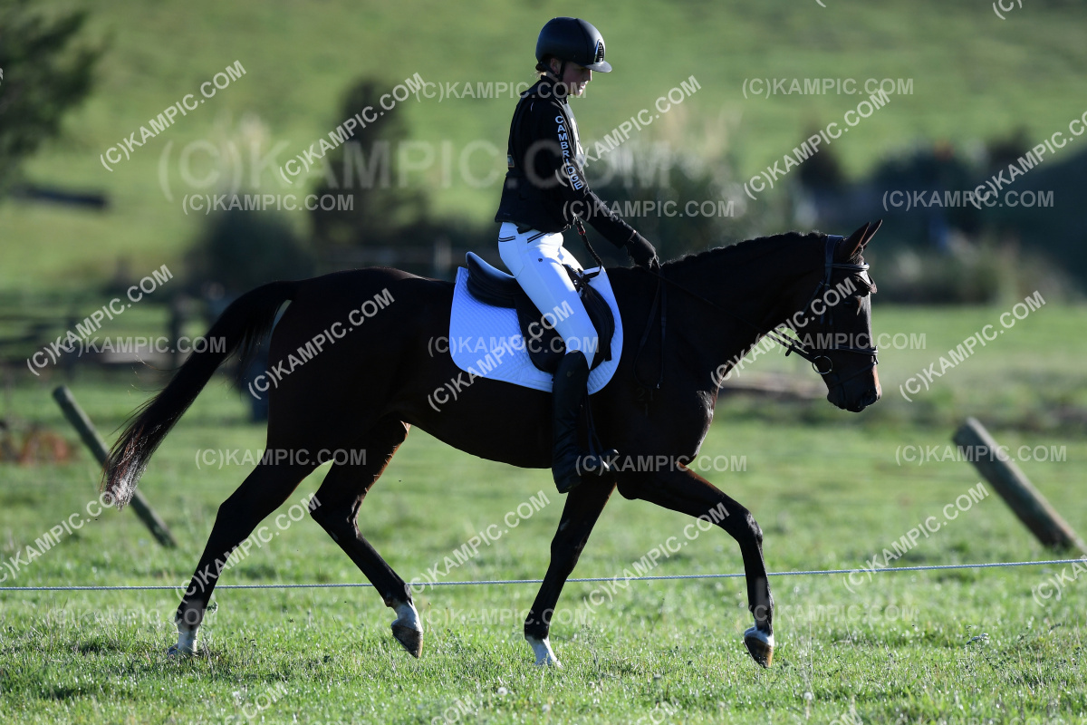 SL_220326_0965