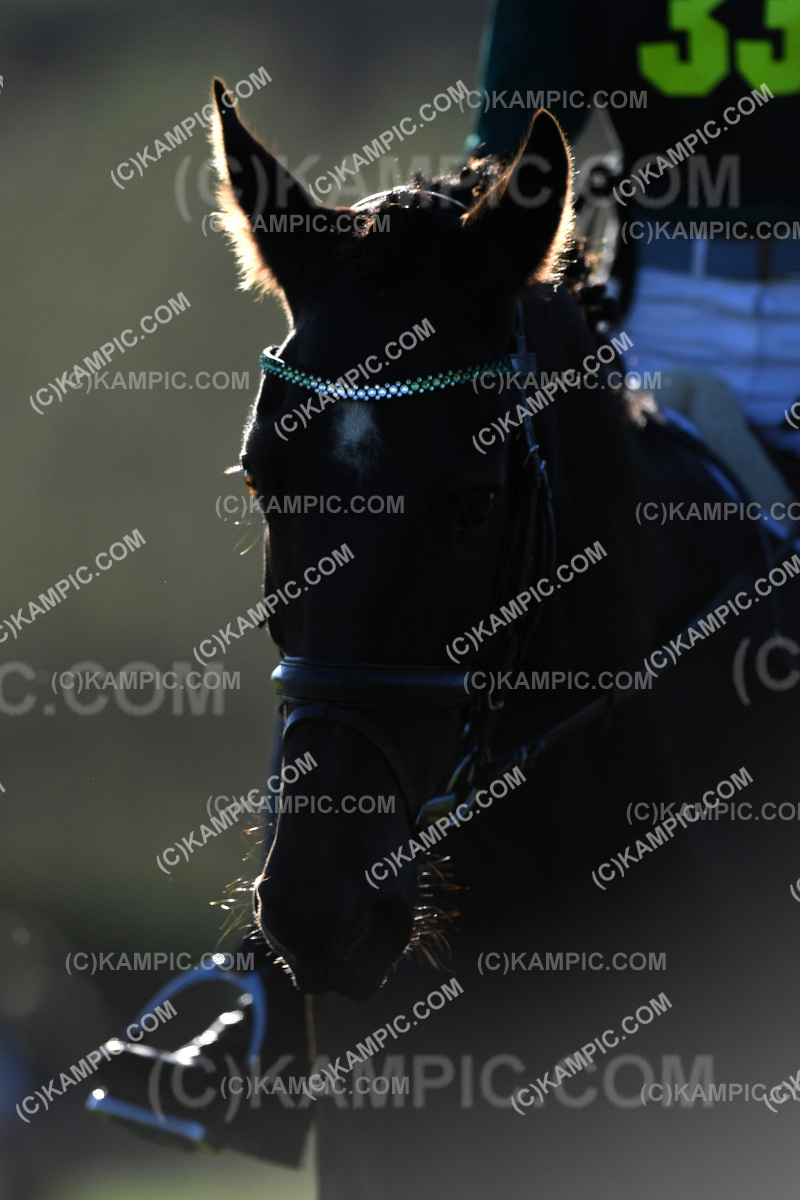 SL_220326_1400
