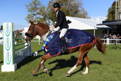 Horse Grand Prix Series Final