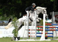 Pony 1.15m