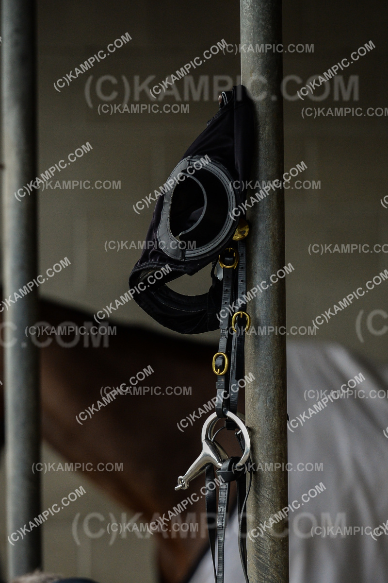 SL_220911_2608