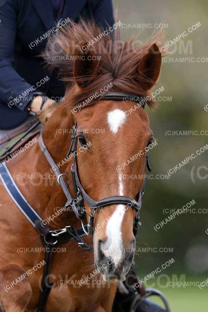SL_220924_0720
