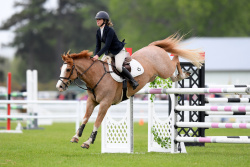 Pony Grand Prix