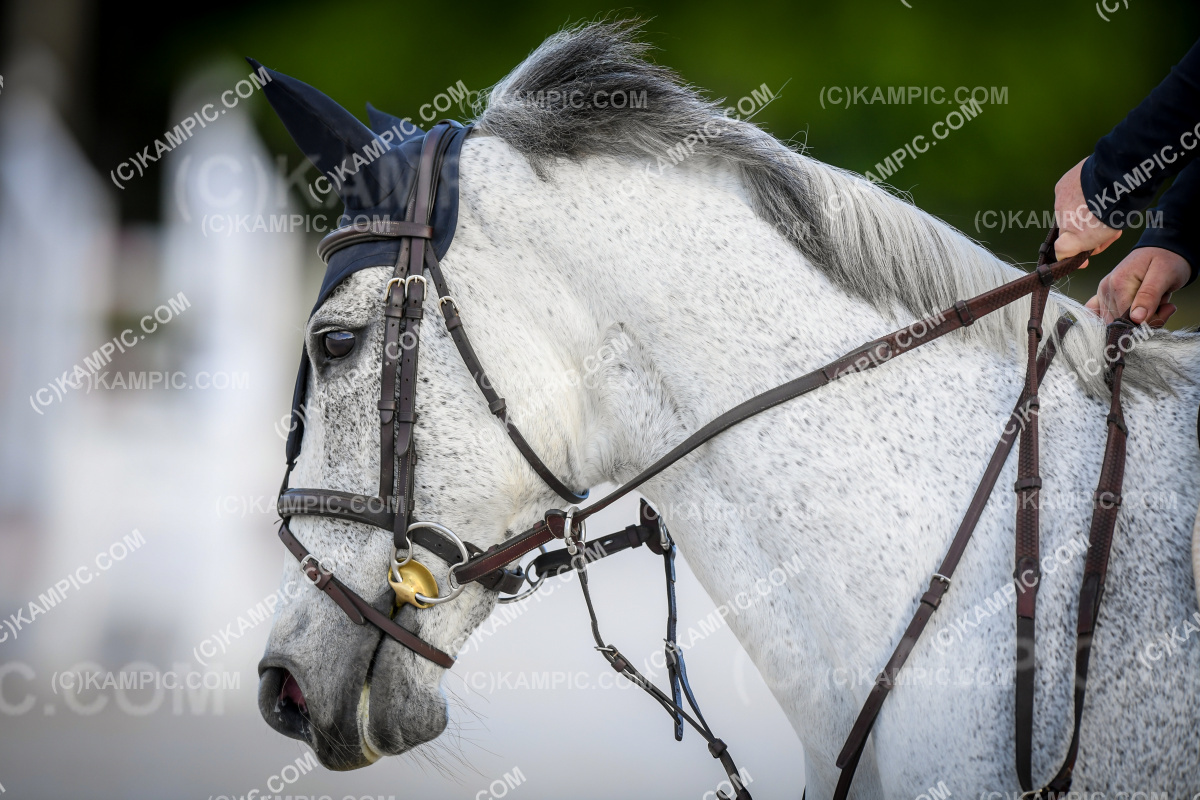 SL_221105_0034