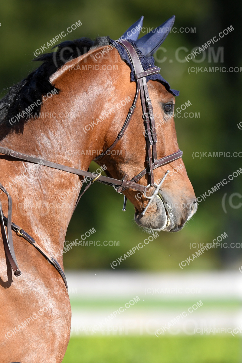 SL_221105_0367