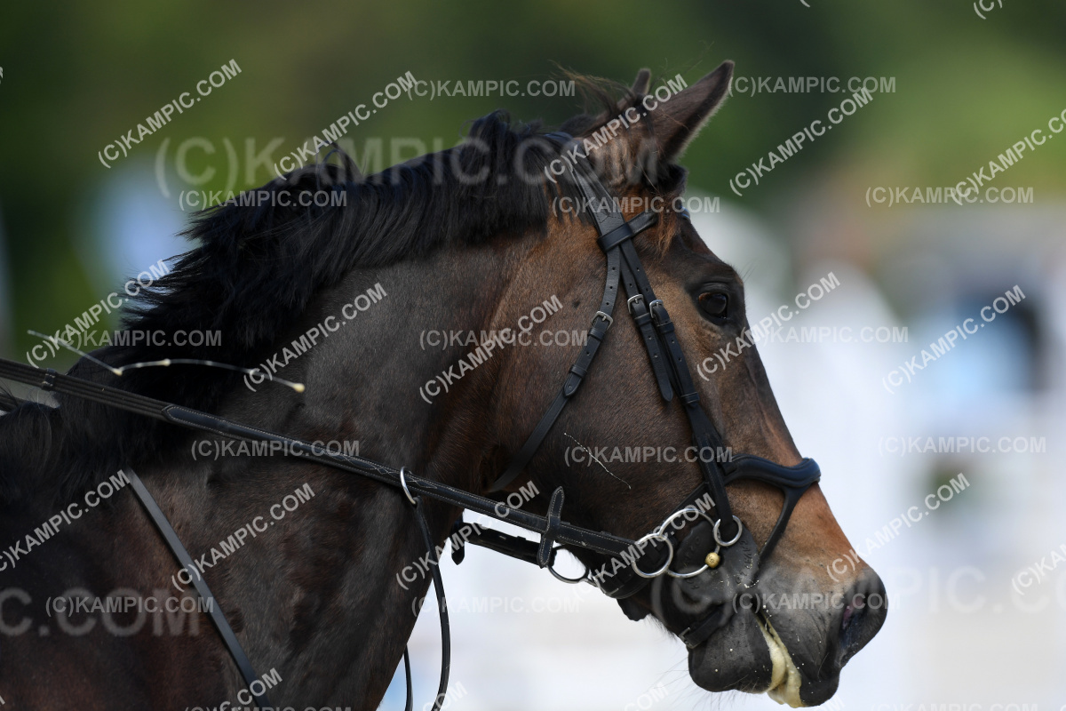 SL_221105_2881