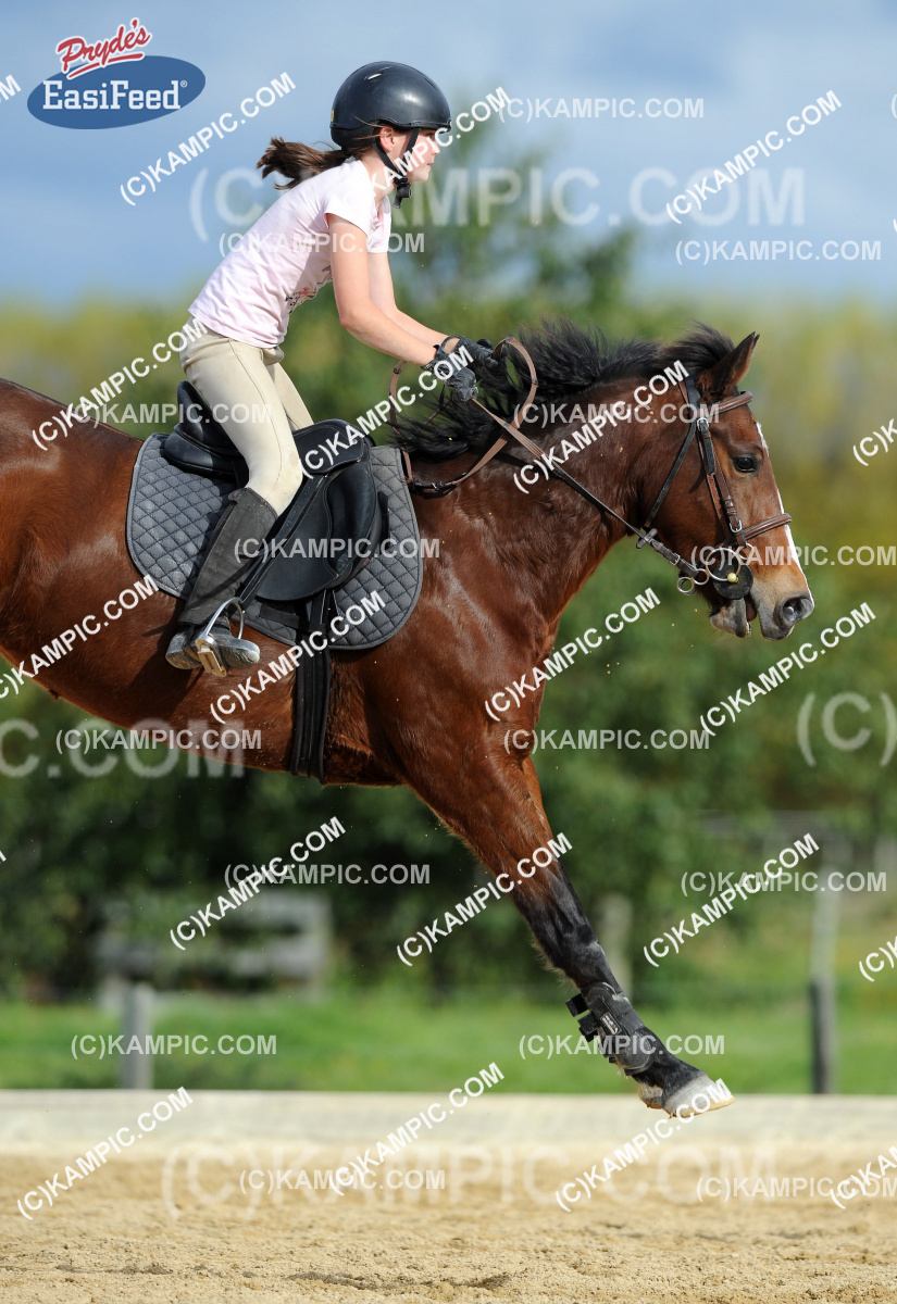 KM_120513_0369