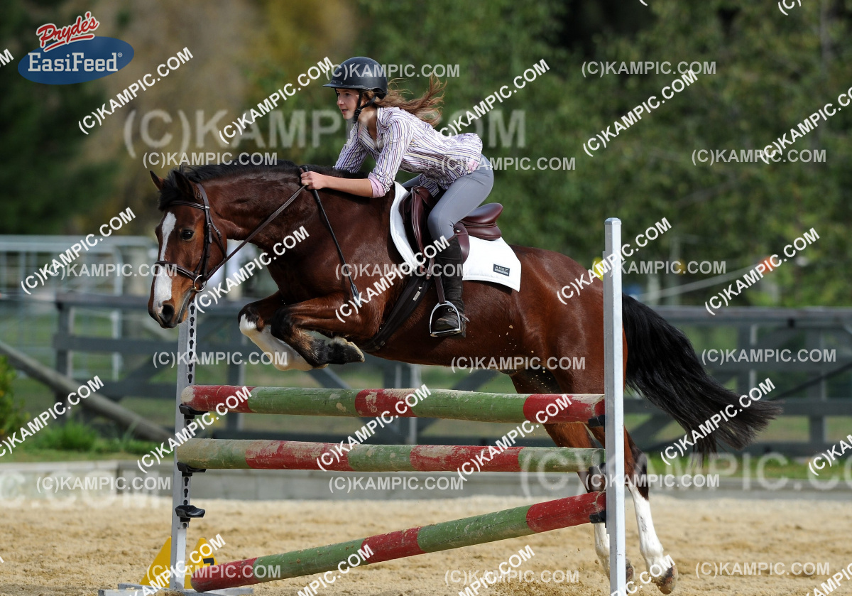 KM_120513_0432
