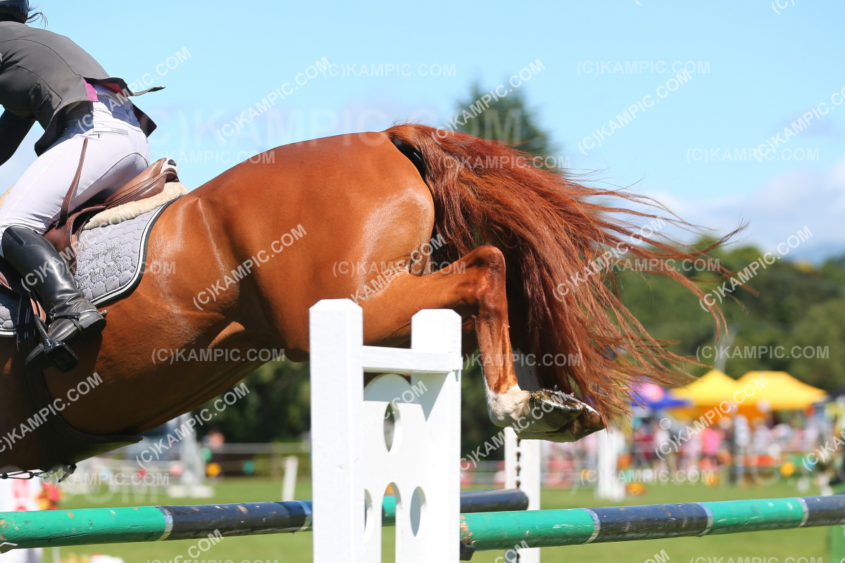 JW_230204_1042