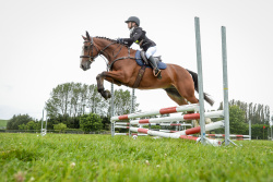 Show Jumping 65cm