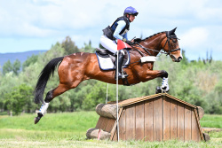 Flaxmere Pony Club ODE 2023