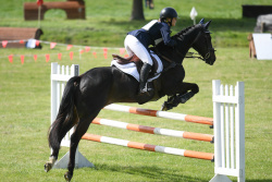 105cm Show Jumping