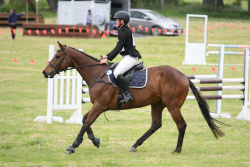 95cm Show Jumping