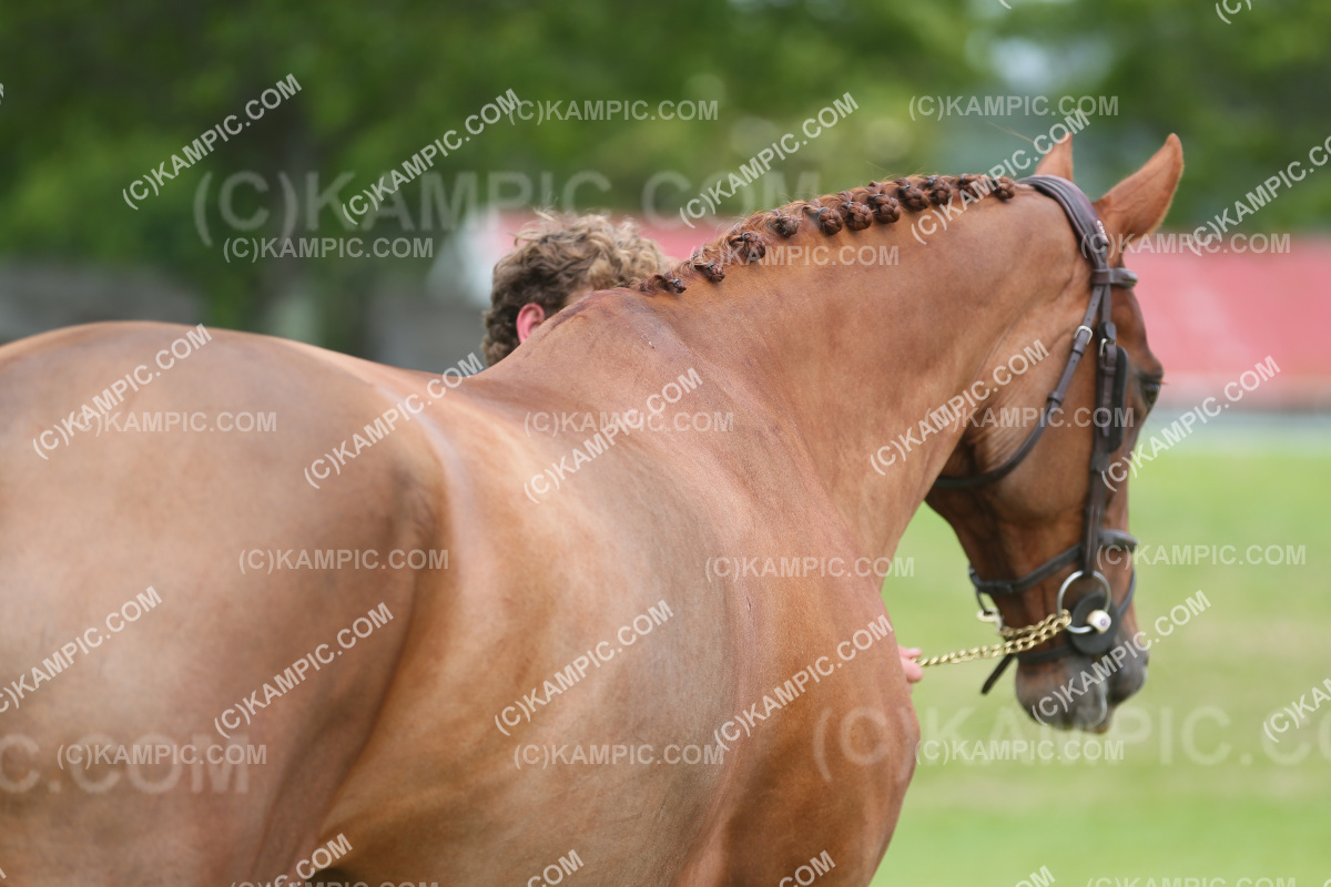 JW_231208_0016-2