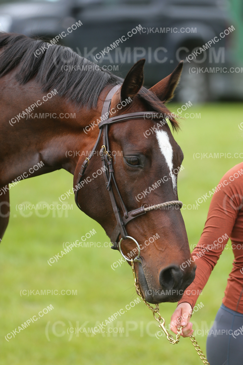 JW_231208_0025-2