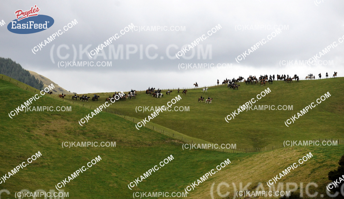 SL_120702_0955
