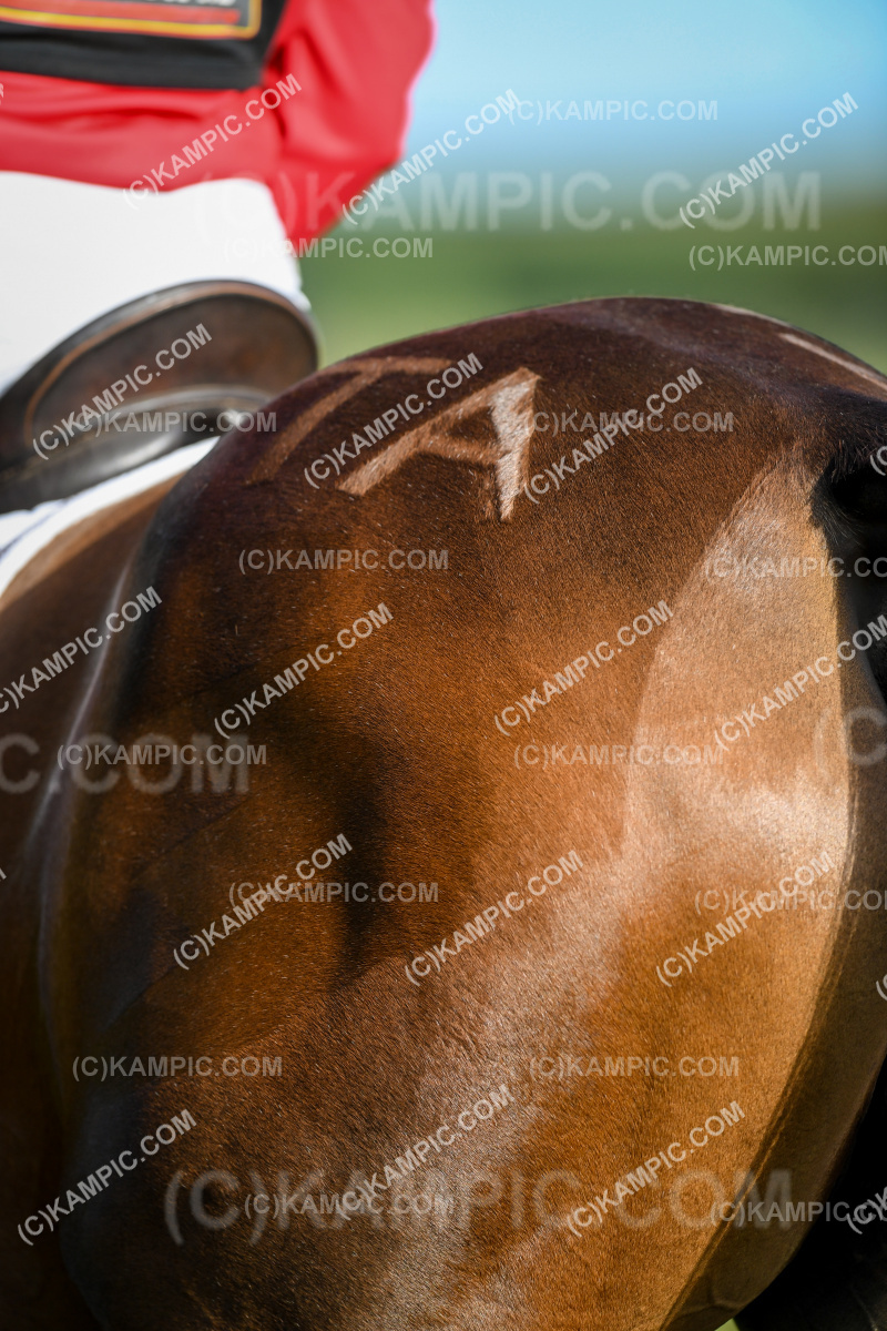 SL_240217_0241