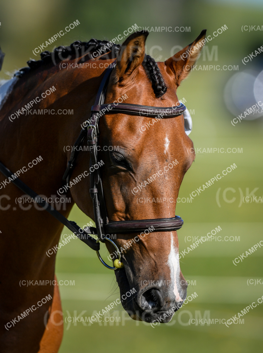 SL_240217_0281