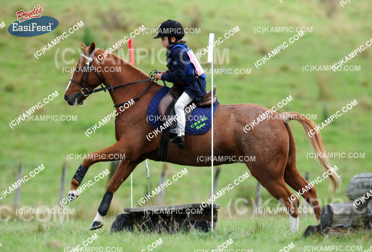 SL_120401_0547