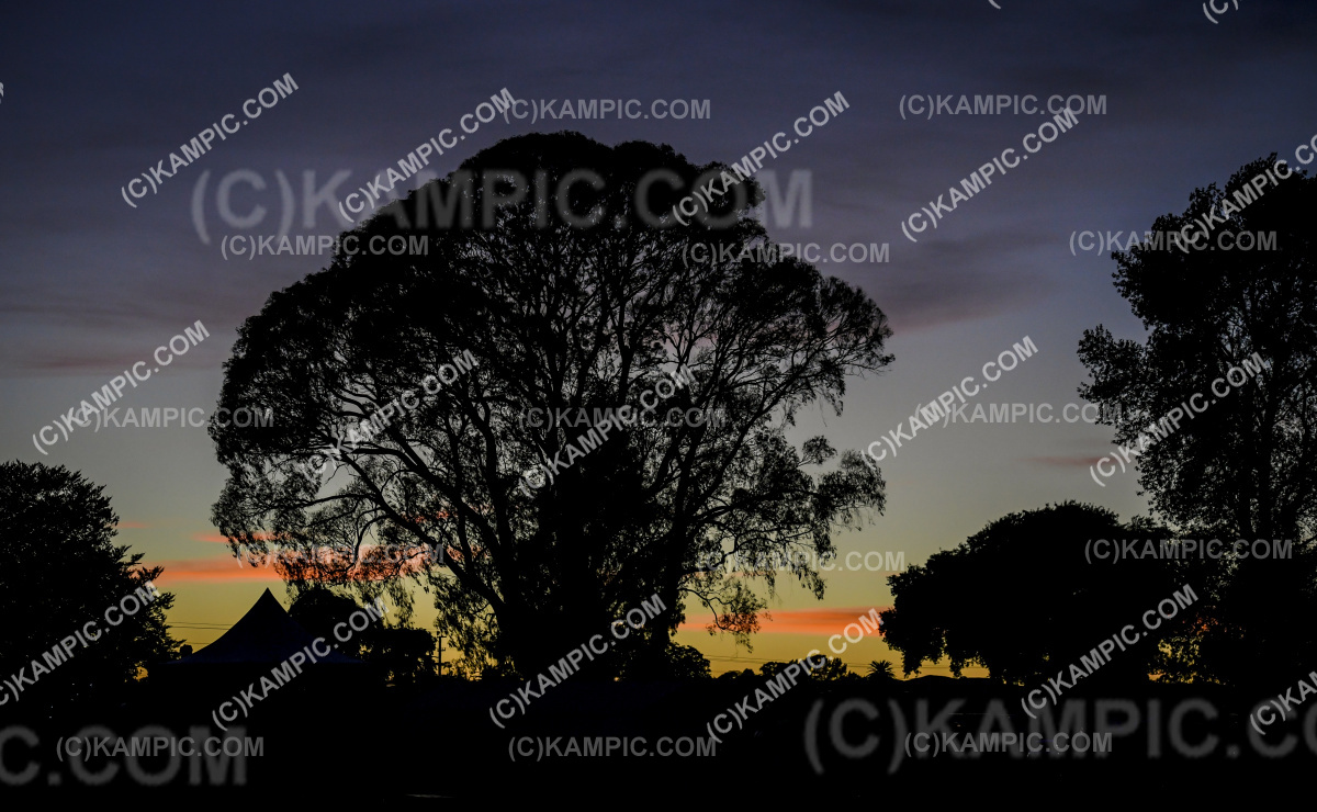 SL_240304_0190
