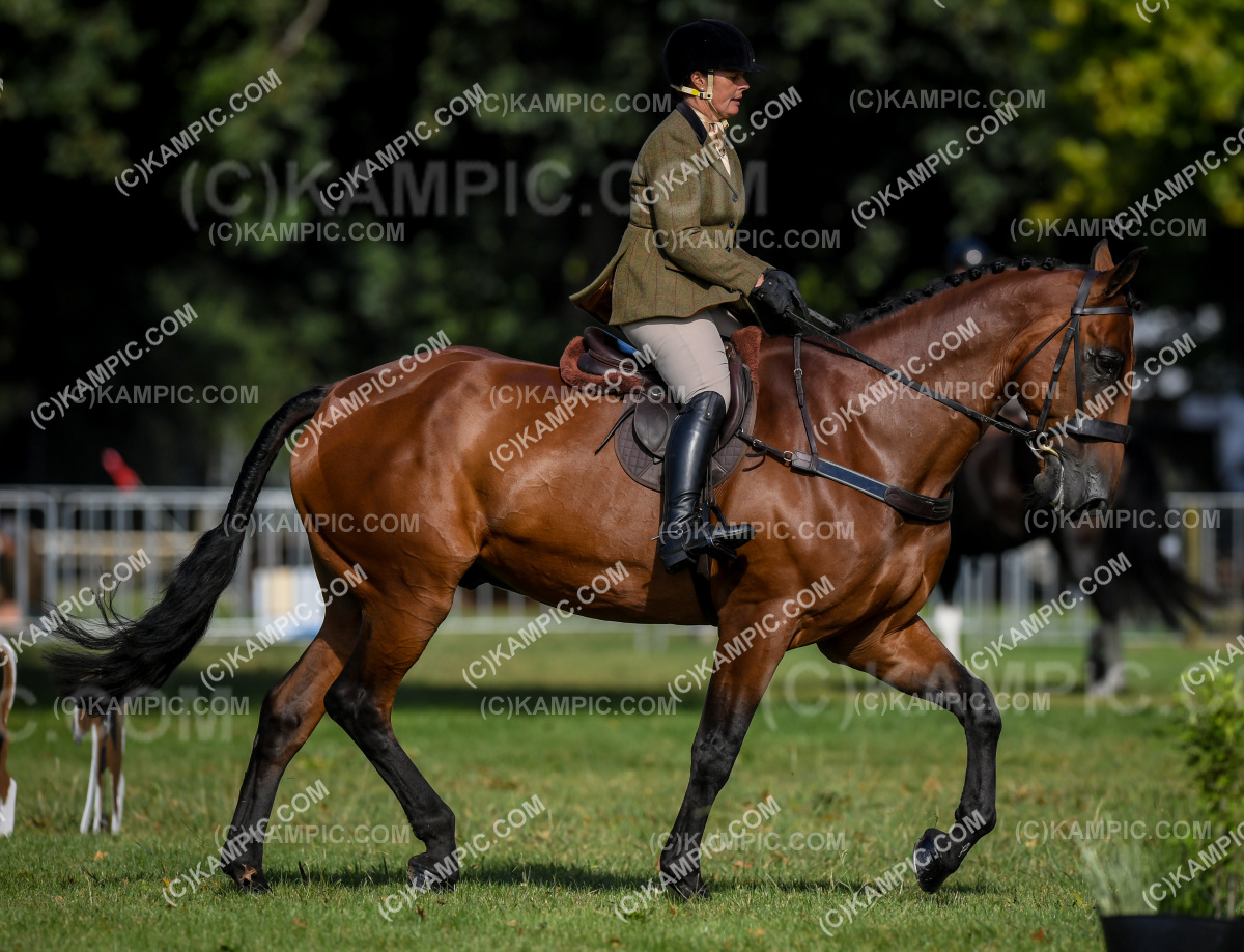 SL_240305_0753