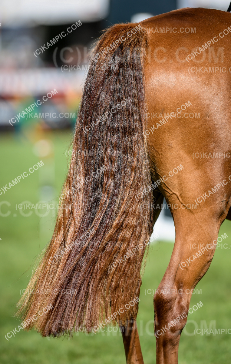 SL_240306_1007