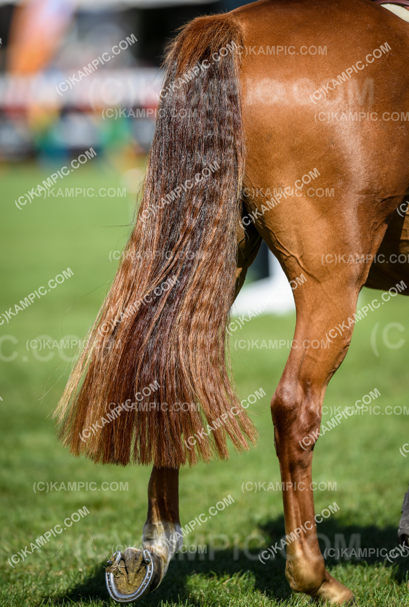 SL_240306_1006