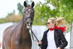 4* Eventing Trot Up