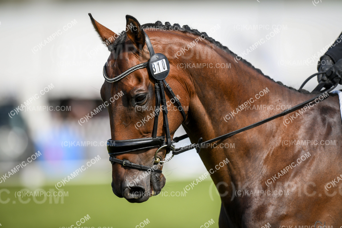 SL_240308_0651