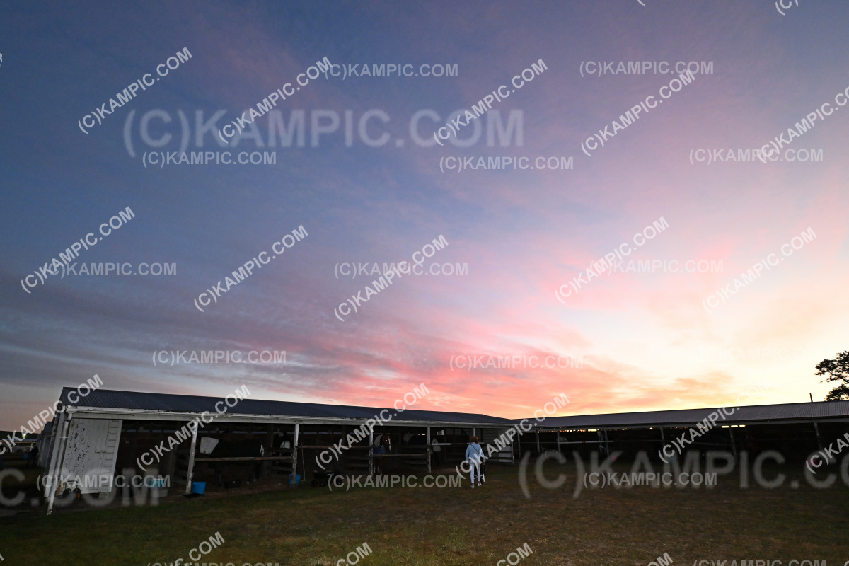 KM_240309_0023
