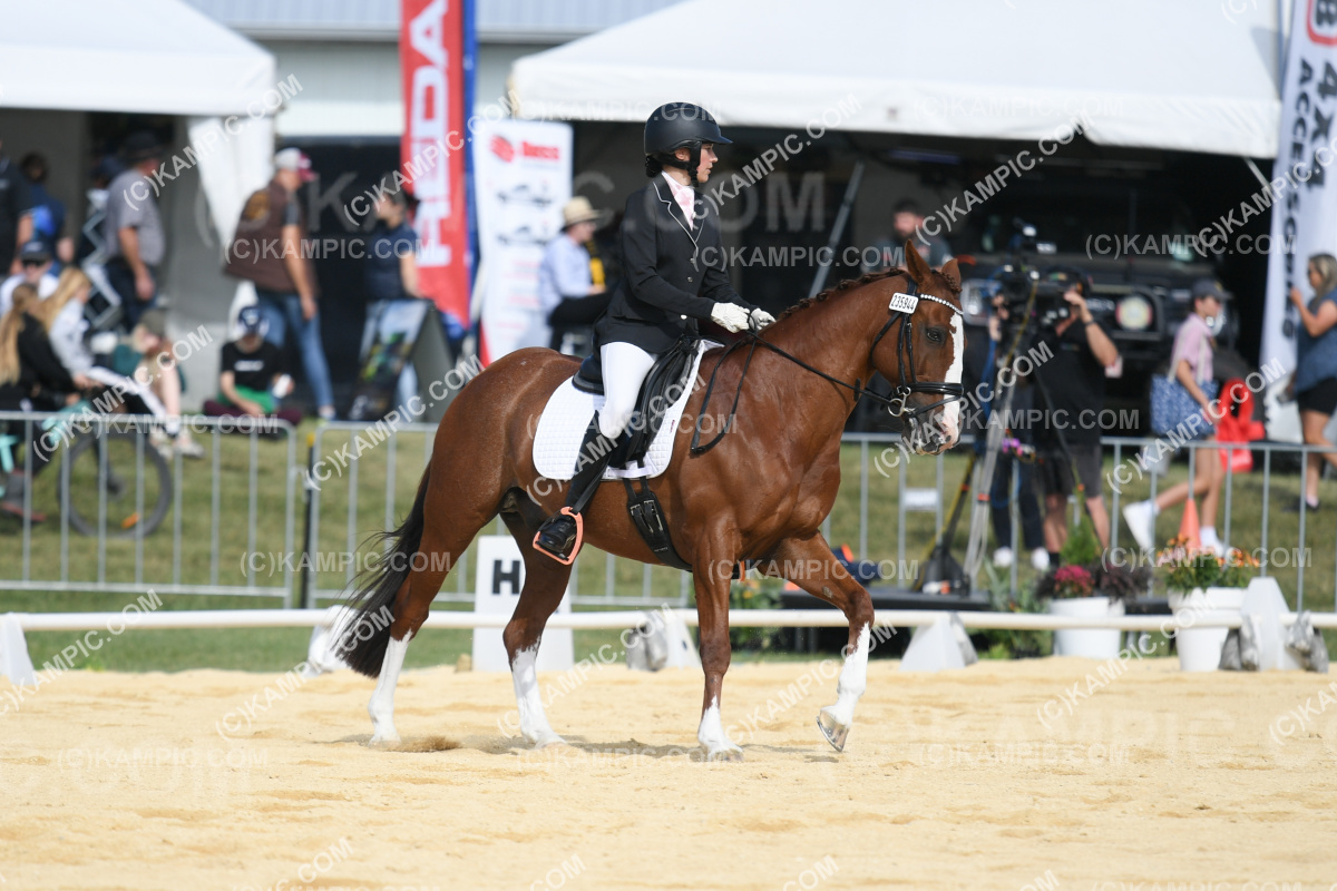JW_240308_2098