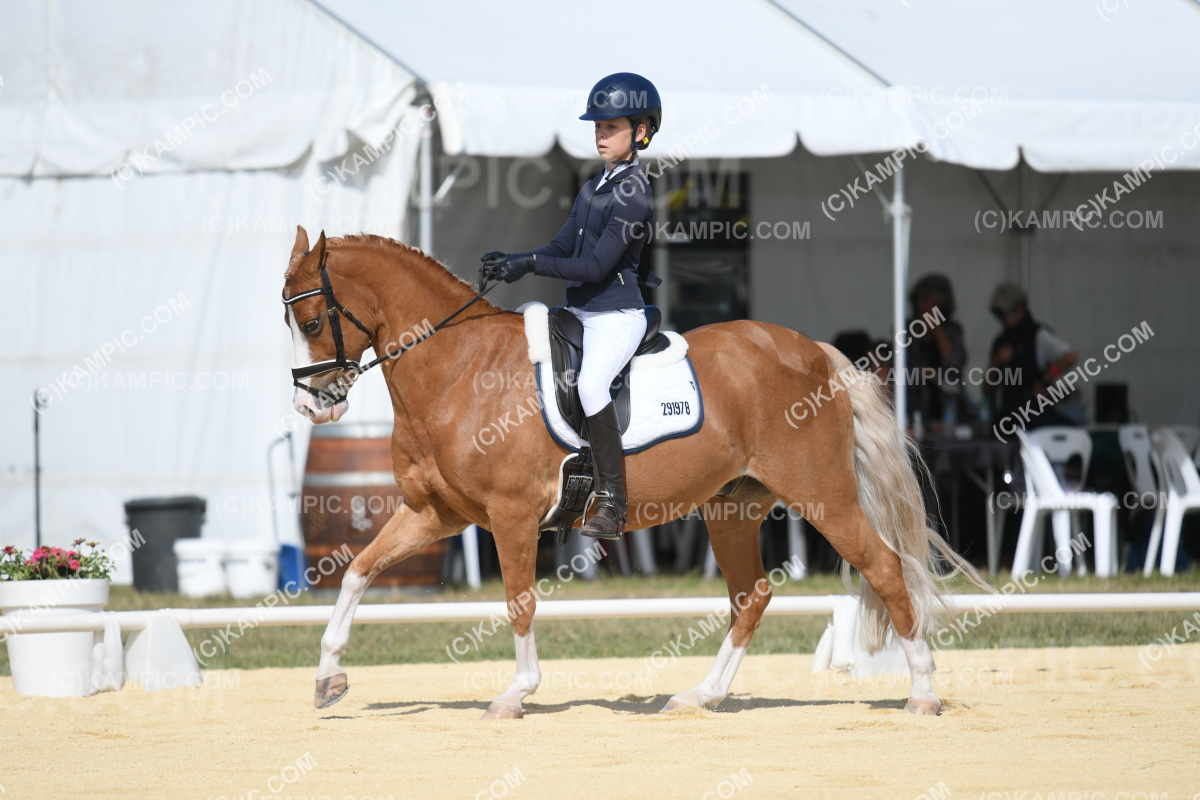 JW_240308_2371
