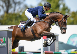 CCI4* Eventing Show Jumping