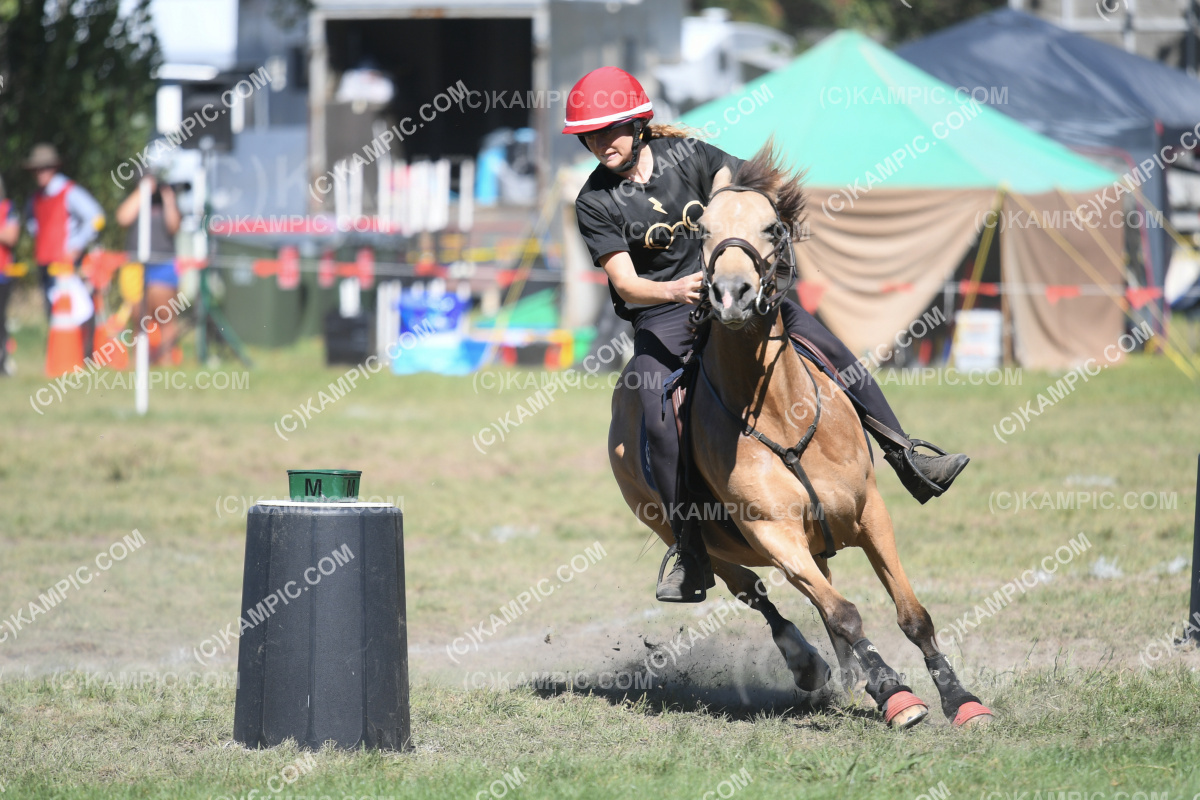 JW_240309_0827
