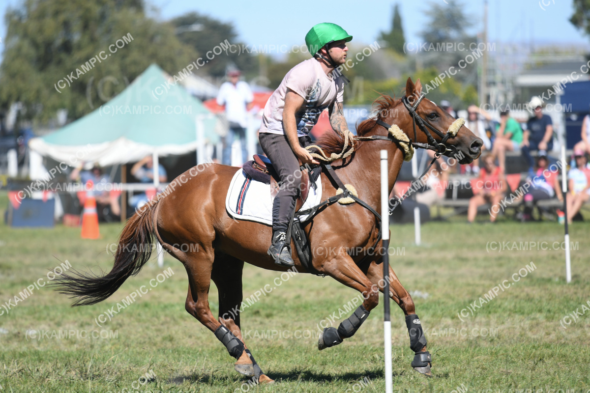 JW_240309_1140