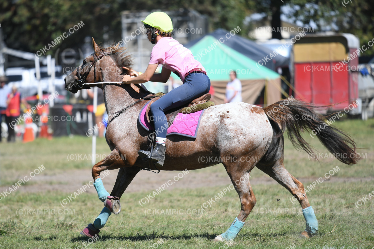JW_240309_1224