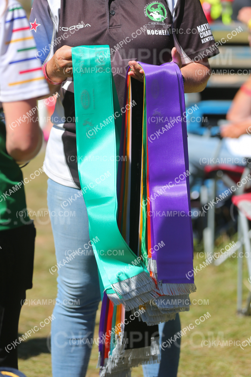 JW_240309_0443