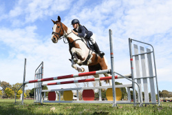 95cm Show Jumping