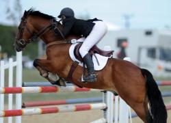 Pony 1.10m