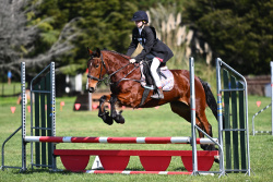 65cm Show Jumping