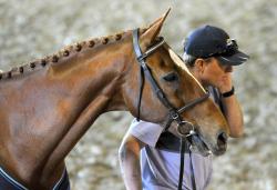 World Cup Trot Up