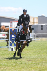 Horse Grand Prix