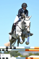 Horse 1.40m