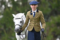 Welsh Inhand Showing
