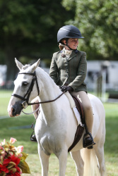 Show Hunter Series Awards