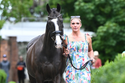 4* Eventing Trot Up