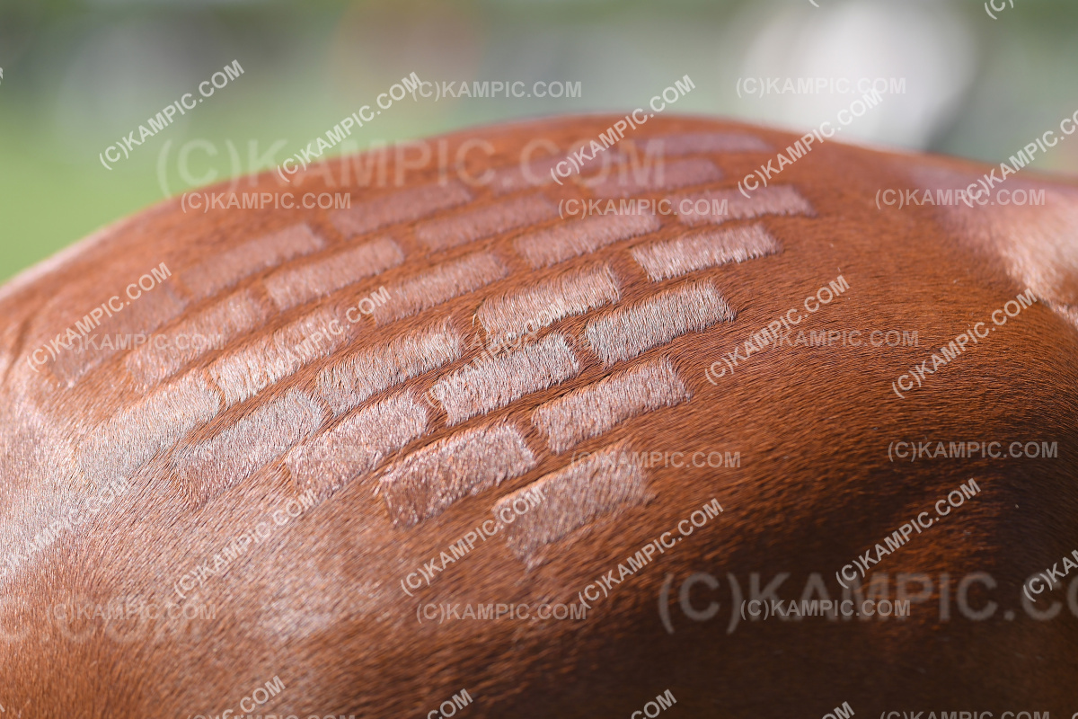 KM_250306_2340