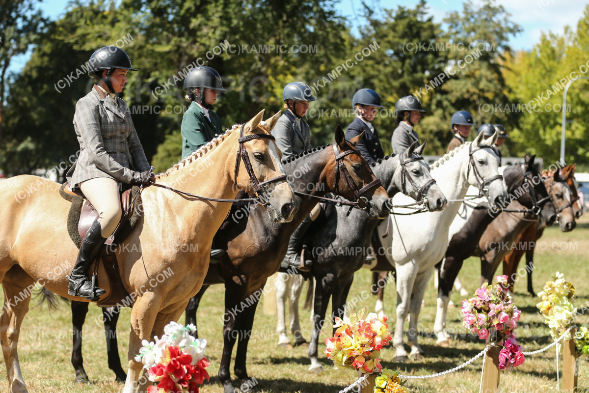 JW_250307_0983