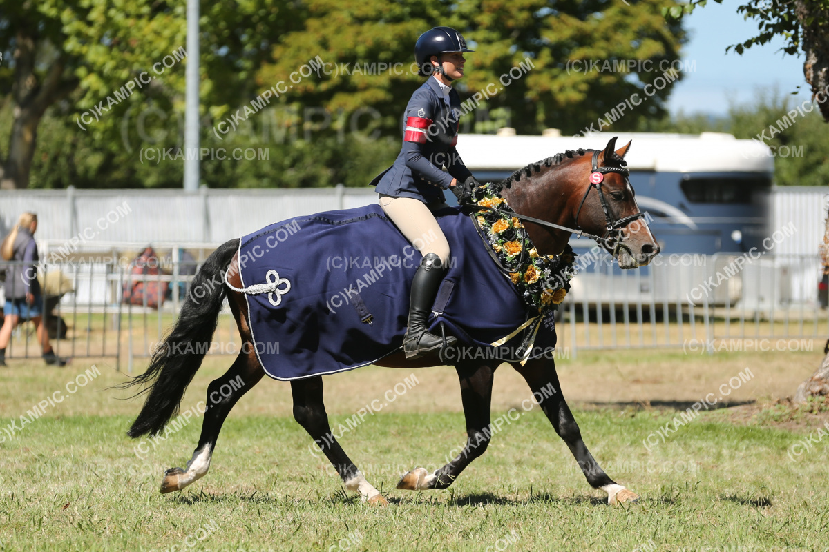 JW_250307_1091