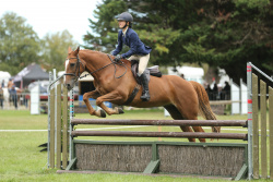 Junior Show Hunter of the Year